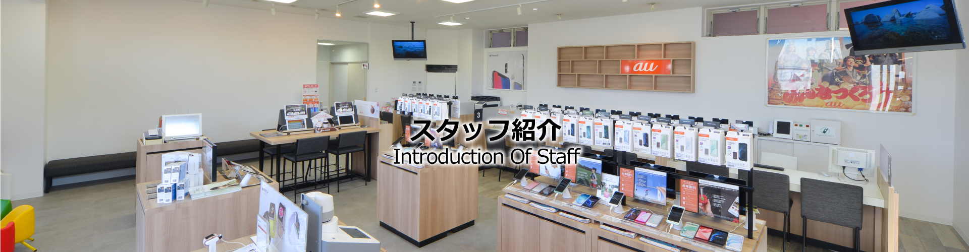スタッフ紹介